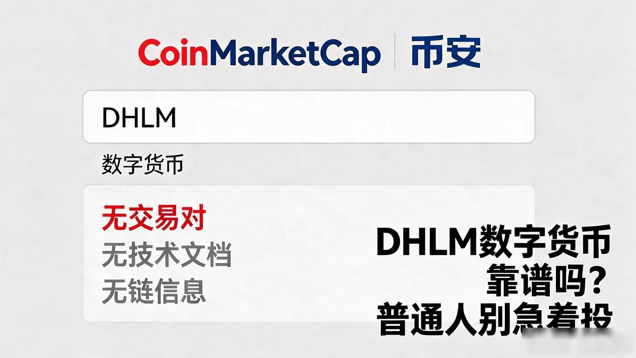 DHLM数字货币_DHLM数字货币骗局揭秘_如何识别伪币项目风险